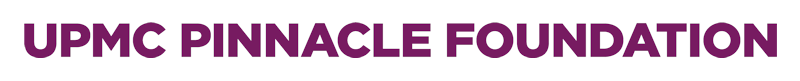 Pinnacle Foundation logo